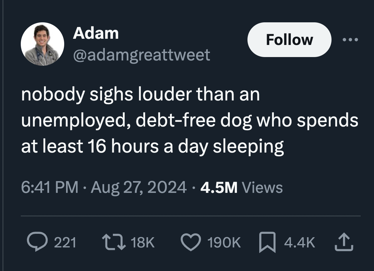 screenshot - Adam nobody sighs louder than an unemployed, debtfree dog who spends at least 16 hours a day sleeping 4.5M Views